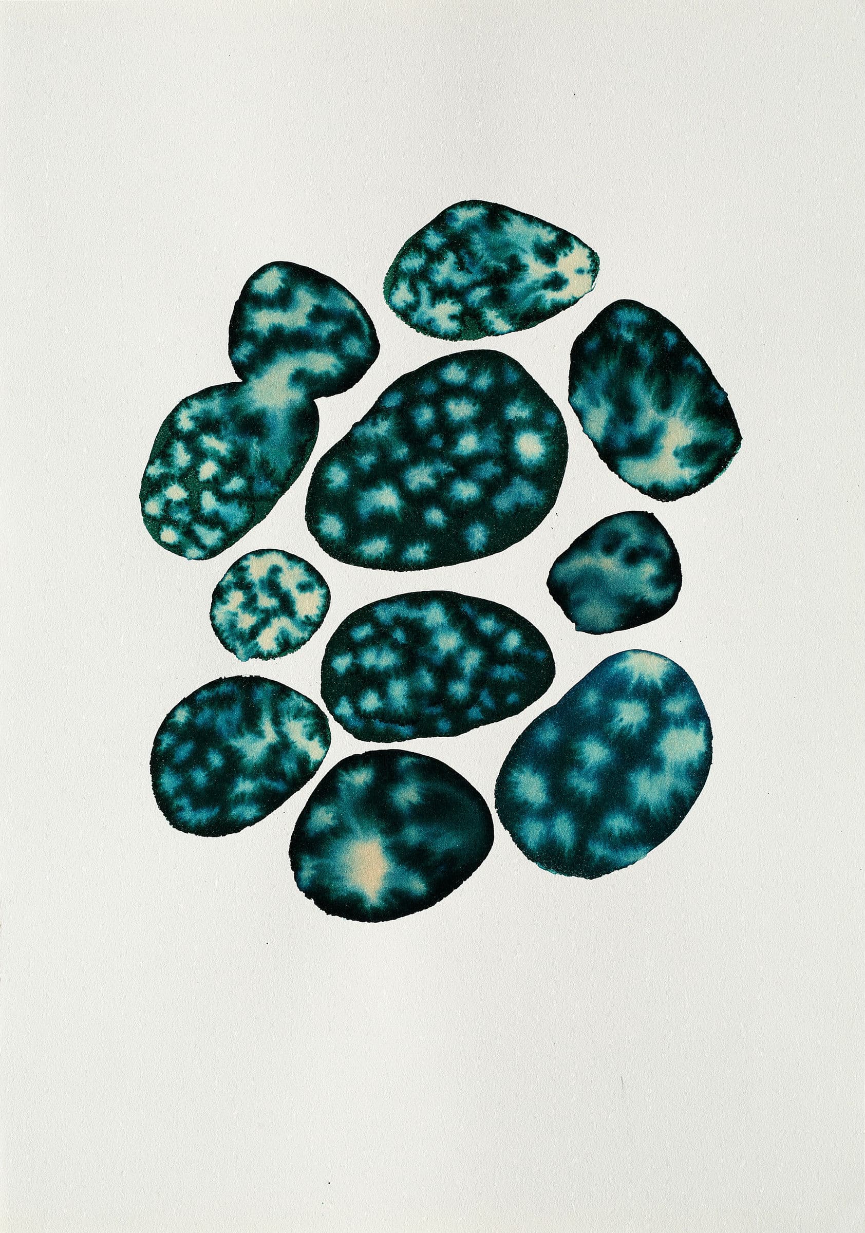 Artwork from D'eaux, de graines et de particules lumineuses