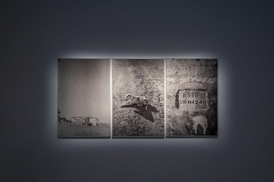 Returns installation view at 32Bis, Tunis